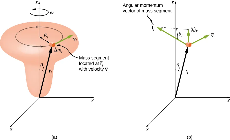 Figure a shows a door-knob shaped object and an x y z coordinate system. The object is arranged vertically and centered on the z axis, with the wide knob at the top. The object is rotating about the z axis, counterclockwise as viewed from above, with angular velocity omega. A small part of the object is highlighted. This mass segment, labeled Delta m sub i, is located at vector r sub i, moves with velocity vector v sub i, and traces a counterclockwise circle of radius R sub i. The vector r sub i extends from the origin to the mass segment and makes an angle of theta sub i with the z axis. The vector v sub i is tangent to the circle traced by the mass segment. Figure b shows the x y coordinate system and the mass segment. Vectors r sub i and v sub i are shown again, as is the angle theta sub i between the vector r sub i and the z axis. The angular momentum vector of the mass segment, vector l sub i, is also shown. The vector l sub i is perpendicular to both r and v, as given by the right hand rule, and has a z component upward, shown on the diagram and labeled l sub i z. The remaining side of the right triangle whose hypotenuse is l sub i and vertical side is l sub i z is shown as a dashed line. The angle adjacent to this side, and opposite the vertical side l sub i z, is theta sub i.