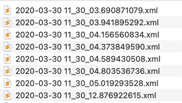 A screenshot of a list of eight X M L files. They all start with the date 2020-03-30 and end with .xml.