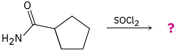 Conversion of cyclopentanecarboxamide to unknown products depicted by a question mark by reaction with thionyl chloride.
