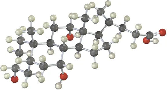 The ball-and-stick model of cholic acid. Black, gray, and red spheres denote carbon, hydrogen, and oxygen, respectively.