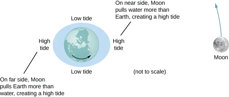 The figure is an illustration of the earth centered within an exaggerated ellipse whose major axis is horizontal. The moon is shown to the right of the earth, moving counterclockwise. The left side of the ellipse is labeled as High tide, with a note that says “on far side, moon pulls earth more than water, creating a high tide.” The right side of the ellipse is labeled as High tide, with a note that says “on near side, moon pulls water more than earth, creating a high tide.” The top and bottom of the ellipse are labeled “Low tide.”