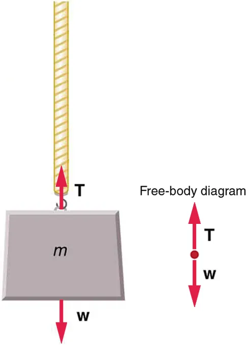An object labeled m for mass is attached to a rope. A force vector labeled T for tension is pointing upward from the object and a force vector labeled W for weight of the object is pointing downward from the object. A free body diagram illustrates the T and W force vectors.