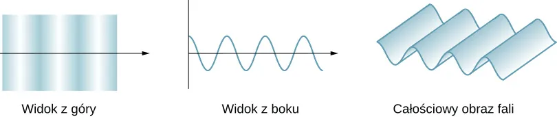 Figura składa się z trzech rysunków fali. Pierwszy rysunek ukazuje ją od góry. Fala rozprzestrzenia się na prawo i wygląda jak seria pionowych pasków o jasności płynnie i cyklicznie zmieniającej się od ciemnej do jasnej. Drugi rysunek pokazuje falę z boku. Tu również fala rozprzestrzenia się w prawo, lecz wygląda jak sinusoida oscylująca w górę i w dół wokół czarnej osi skierowanej w prawo. Trzeci rysunek ukazuje falę w rzucie ukośnym, w perspektywie. Jest to fala o tej samej długości, co na poprzednich rysunkach. Wygląda jak pofalowana powierzchnia.