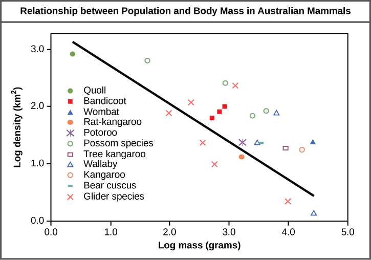 Graph plots log density in kilometers squared versus log body mass in grams. The values are inversely proportional, so that density decreases linearly with increasing body mass.