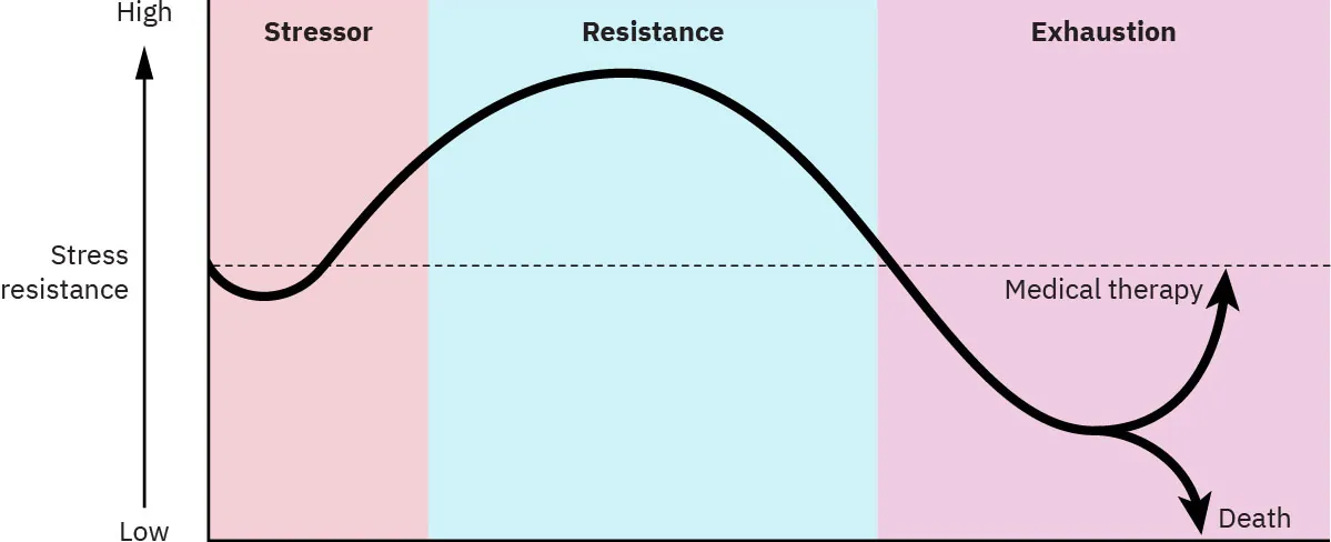 A diagram showing the three phases of the General Adaptation Syndrome. The chart shows a line indicating that stress resistance rises from the stressor phase into the middle of the resistance phase. From this point it declines into the exhaustion phase.