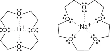 Two crown ethers: 12-crown-4 is shown with an associated lithium cation, and 15-crown-5 is shown with an associated sodium cation.