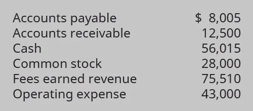 Accounts payable $8,005; Accounts receivable 12,500; Cash 56,015; Common stock 28,000; Fees earned revenue 75,510; Operating expense 43,000.