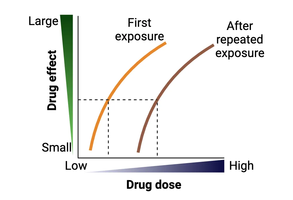 A graph of drug effect (y-axis) versus drug dose (x-axis). Curves for first exposure and after repeated exposure both rise with increased dose, but the repeated-use curve is shifted to the right compared to the first-exposure curve.