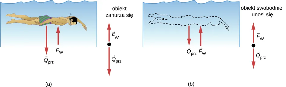 Ilustracja (a) jest rysunkiem przedstawiającym osobę zanurzoną w wodzie. Siła wobj reprezentuje tę osobę, siła Fb jest siłą, z którą woda działa na tę osobę. Ilustracja (b) jest rysunkiem przedstawiającym sytuację, w której przestrzeń po tej osobie zajmowana jest przez wodę. Siła wypadkowa wfl odpowiada ciężarowi wody zajmującej przestrzeń osoby, siła Fb pozostaje taka sama.