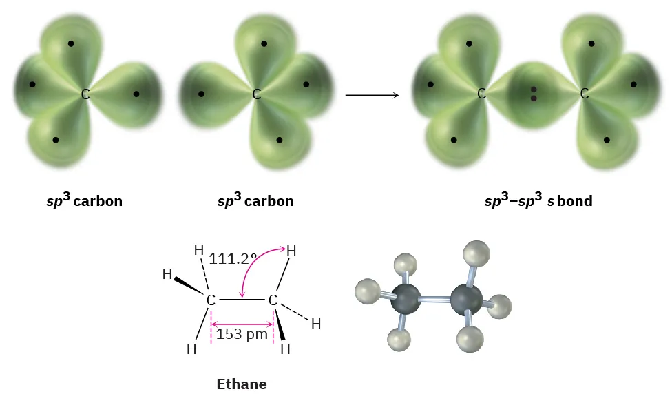 The formation of s p 3 - s p 3 sigma bond by two s p 3 carbon (green lobes). The wedge-dash structure and ball and stick model of ethane.