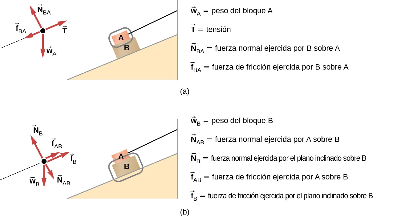 La figura a muestra dos objetos en un plano inclinado, con pendiente hacia la izquierda. El objeto A está encima del objeto B. Un diagrama de cuerpo libre muestra T apuntando a la derecha y hacia arriba, paralelo al plano, N subíndice BA apuntando a la izquierda y hacia arriba, perpendicular al plano, f subíndice BA apuntando a la izquierda y hacia abajo, paralelo al plano y w subíndice A apuntando verticalmente hacia abajo. W subíndice A es el peso del bloque A, T es la tensión, N subíndice BA es la fuerza normal ejercida por B sobre A, f subíndice BA es la fuerza de fricción ejercida por B sobre A. La figura b muestra los objetos en la pendiente de la misma manera. Un diagrama de cuerpo libre tiene f subíndice B y f subíndice AB apuntando hacia la derecha y hacia arriba, paralelos a la pendiente, N subíndice B apuntando hacia la izquierda y hacia arriba perpendicular a la pendiente, w subíndice B apuntando verticalmente hacia abajo y N subíndice AB apuntando hacia abajo y hacia la derecha, perpendicular a la pendiente. W subíndice B es el peso del bloque B, N subíndice AB es la fuerza normal ejercida por A sobre B, N subíndice B es la fuerza normal ejercida por el plano inclinado sobre B. f subíndice AB es la fuerza de fricción ejercida por A sobre B. f subíndice B es la fuerza de fricción ejercida por el plano inclinado sobre B.