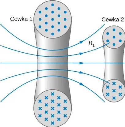 Rysunek pokazuje przekrój dwóch cewek. W każdej, przekrój przewodu cewki jest pokazany w postaci dwóch kół, z których jedno jest u góry, a drugie u dołu. Kropki w górnym kole i krzyżyki w niższym wskazują kierunek przepływu prądu. Cewka 1 ma linie sił pola oznaczone jako B1, które przechodzą pomiędzy dwoma kołami i biegną w górę. Niektóre z nich przechodzą przez cewkę 2, która jest mniejsza od cewki 1. 