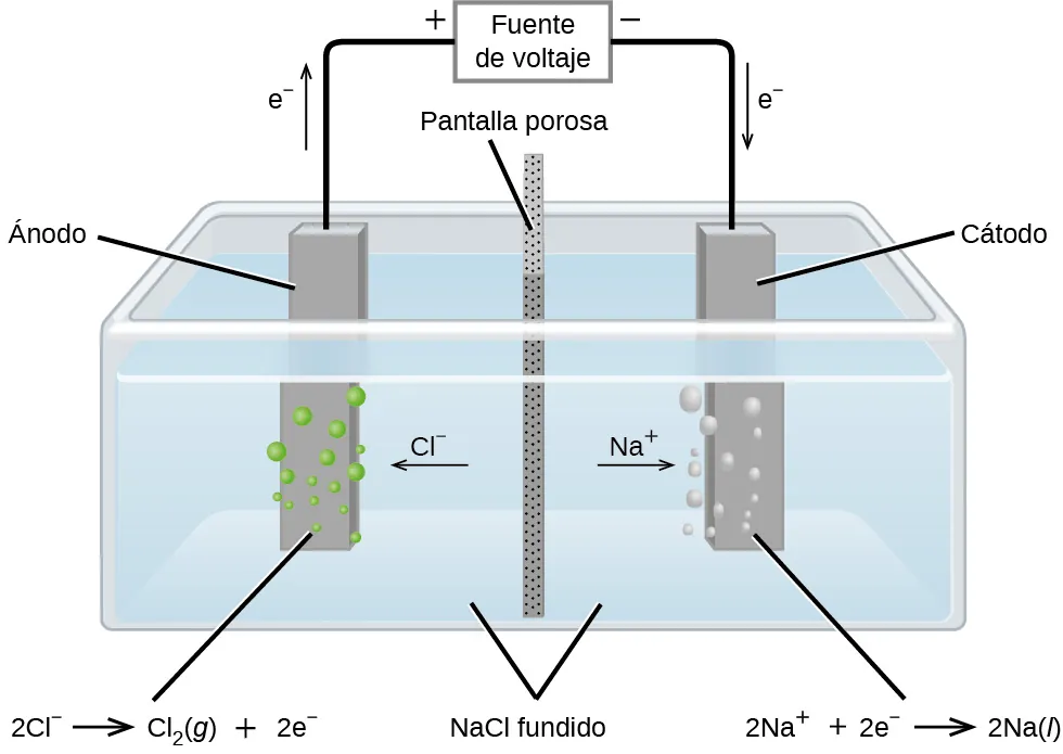 Este diagrama muestra un tanque que contiene un líquido azul claro, marcado como "N a C l fundido". Un divisor vertical de color gris oscuro con pequeños puntos oscuros distribuidos uniformemente, marcado como "Pantalla porosa", está situado en el centro del tanque dividiéndolo en dos mitades. Las barras de color gris oscuro se sitúan en el centro de cada una de las mitades del tanque. La barra de la izquierda, marcada como "Ánodo", tiene burbujas verdes que se originan en ella. La barra de la derecha que está marcada como "Cátodo" tiene burbujas de color gris claro que se originan en ella. Una flecha apunta a la izquierda desde el centro del tanque hacia el ánodo, que está marcada como "C l superíndice negativo". Una flecha apunta a la derecha desde el centro del tanque hacia el cátodo, que está marcada como "N a superíndice más". Una línea se extiende desde la parte superior del ánodo y del cátodo hasta un rectángulo colocado en el centro sobre el tanque que está marcado como "Fuente de voltaje". Una flecha se extiende hacia arriba por encima del ánodo a la izquierda de la línea y está marcada como "e superíndice negativo". A la izquierda de la fuente de voltaje se encuentra un signo positivo y a su derecha un signo negativo. Una flecha señala hacia abajo a lo largo del segmento de línea que lleva al cátodo. Esta flecha está marcada como "e superíndice negativo". La parte izquierda de debajo del diagrama es la marcación "2 C l superíndice negativo flecha que apunta a la derecha C l subíndice 2 (g) más 2 e superíndice negativo". A la derecha, debajo del diagrama está la marcación "2 N a superíndice más más 2 e superíndice negativo flecha que apunta a la derecha 2 N a (l)".