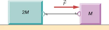 Dwa ciężarki połączone nicią znajdują się na gładkiej, poziomej powierzchni. Siła F jest przyłożona poziomo do jednego z ciężarków.