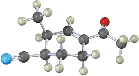 A ball and stick model of a cyclopentane ring linked to methyl and acetate groups, and triple bonded to nitrogen. The red and blue spheres represent oxygen and nitrogen, respectively.