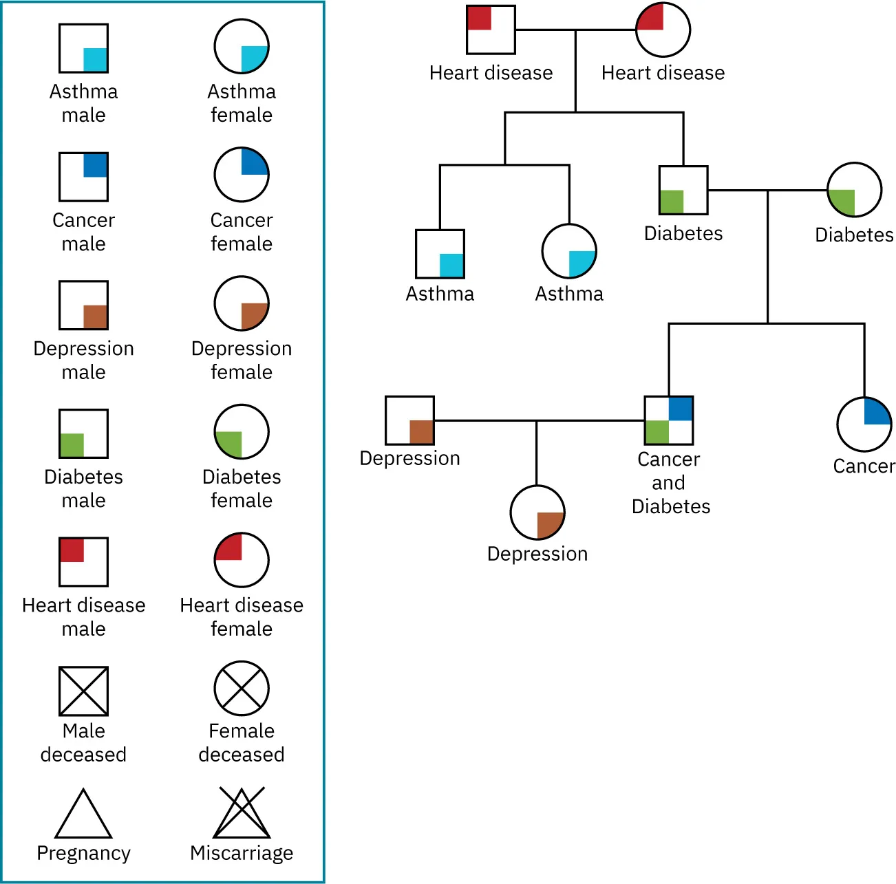 A color genogram with symbols for the following issues: asthma, cancer, depression, diabetes, heart disease, deceased, pregnancy.