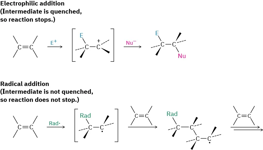 Electrophilic addition reaction shows 2-carbon alkene reacting with E plus and then Nu minus. Radical addition reaction shows 2-carbon alkene reacting with radical (an unpaired electron).