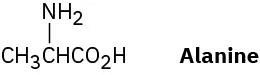 Alanine has a 3-carbon chain. C1 is a carboxylic acid group. C2 is bonded to an amino group.