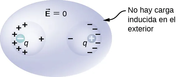 La figura muestra una esfera aplanada, con un vector E igual a cero. Tiene dos cavidades esféricas en su interior. Su superficie exterior de la esfera aplanada está marcada sin carga inducida en el exterior. La cavidad izquierda tiene una carga negativa q en su interior, a la izquierda. La superficie izquierda de esta cavidad tiene muchos signos más y la superficie derecha tiene un solo signo más. La cavidad derecha tiene una carga positiva q en su interior, a la derecha. La superficie derecha de esta cavidad tiene muchos signos menos y la superficie izquierda tiene un solo signo menos.