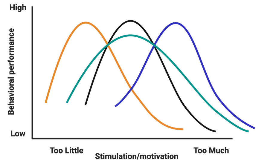 A line graph with y axis “behavioral performance” from low to high and x-axis “stress/stimulation” from too little to too much. Several inverted-U curves are plotted, some shifted right (blue), some shifted left (orange) and some being wider or more narrow than others.