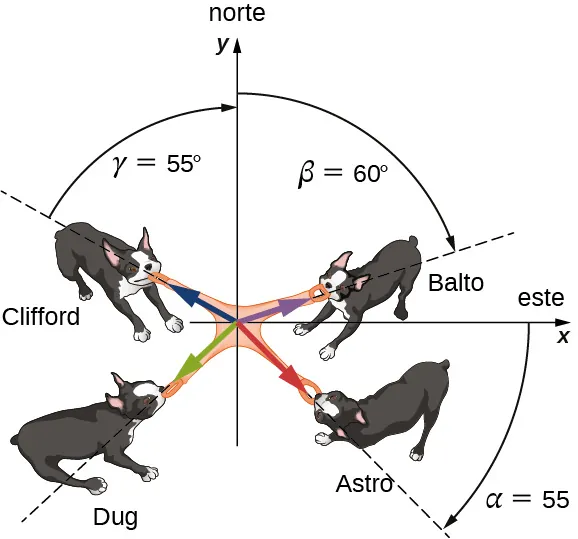 Ilustración de 4 perros halando de un juguete. El juguete está en el origen de un sistema de coordenadas, con la x positiva alineada con el este y la y positiva con el norte. Ang hala en un ángulo alfa de 55 grados en el sentido de las agujas del reloj, desde la dirección de la x positiva (este). Bing hala en un ángulo beta de 60 grados en el sentido de las agujas del reloj, desde la dirección y positiva (norte). Chang hala en un ángulo gamma de 55 grados en sentido contrario de las agujas del reloj, desde la dirección y positiva (norte). Dong hala en una dirección no especificada en el tercer cuadrante.