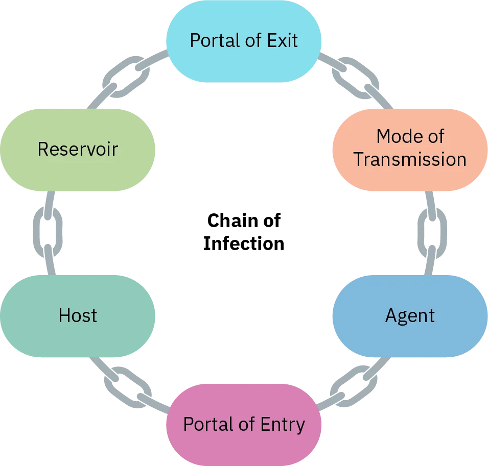 The components of the chain of infection are shown with each component linked to the next in a continuous circle. The components are: portal of exit, mode of transmission, agent, portal of entry, host, and reservoir.