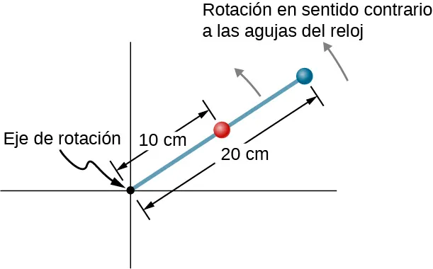 La figura es el dibujo de una varilla que está rotando en sentido contrario a las agujas del reloj. La varilla tiene dos cuentas: una a 10 cm del eje de rotación y la otra a 20 cm del eje de rotación.