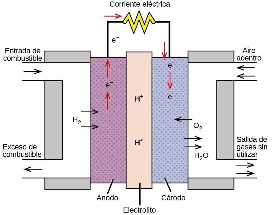 Se muestra un diagrama de una pila de combustible de hidrógeno. En el centro hay un rectángulo vertical sombreado en gris oscuro y marcado como "Electrolito" Esta región tiene dos marcaciones para H superíndice más en ella. A la derecha y a la izquierda hay estrechos rectángulos verticales sombreados en gris claro. El de la derecha está marcado como "Cátodo" y el de la izquierda como "Ánodo". A la izquierda de la región gris clara más a la izquierda hay una región blanca con forma de corchete izquierdo cerrado. Una flecha amarilla apunta a la región blanca con la marcación para mostrar "Ingreso de combustible". En el centro del área blanca hay dos flechas amarillas que apuntan hacia el sombreado gris marcado como "H subíndice 2". En la parte inferior de la región blanca hay una flecha amarilla apuntando hacia fuera que está marcada como "Exceso de combustible". En el lado derecho hay otra región blanca que hace una forma de corchete derecho cerrado. En la parte superior izquierda de esta área hay dos flechas con la marcación "Ingreso de aire" y "H subíndice 2 O" que apuntan hacia dentro. Una flecha es azul claro y otra azul oscuro. En el centro del área blanca hay una flecha azul claro que apunta hacia el sombreado gris. La flecha está marcada como "O subíndice 2". Debajo hay dos flechas de color azul oscuro que apuntan desde el sombreado gris al área blanca marcada como "H subíndice 2 O". En la parte inferior de la región blanca se encuentran la flecha azul claro para O subíndice 2 y la flecha azul oscuro para H subíndice 2 O apuntando hacia fuera. Esto está marcado como "Salida de gases no utilizados". Los segmentos de líneas negras se extienden hacia arriba desde las regiones sombreadas en gris claro. Estos segmentos de línea están conectados por un segmento horizontal que tiene una forma rizada en un círculo en el centro. Esta forma está marcada como "Corriente eléctrica". En la región sombreada de color gris claro de la izquierda, encima de las flechas amarillas, hay una flecha roja que apunta hacia arriba, con la marcación e superíndice menos encima de ella, y luego otra flecha roja. El segmento de línea negra sobre esta área también tiene la marcación e superíndice menos. Donde la línea gira a la derecha para conectar con la forma de la Corriente eléctrica hay una flecha roja orientada a la derecha. Al otro lado de la forma, donde la línea gira hacia abajo para conectarse con la otra región sombreada en gris claro, hay una flecha roja que mira hacia abajo. Debajo de esa flecha, en la región gris claro, está la marcación e superíndice menos, seguida de una flecha roja hacia abajo, seguida de otra marcación e superíndice menos que se detiene antes de la flecha azul claro que apunta al área sombreada.