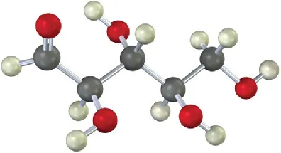 The ball-and-stick model of an aldopentose. It contains five carbon atoms, four hydroxyl groups, and one aldehyde group.