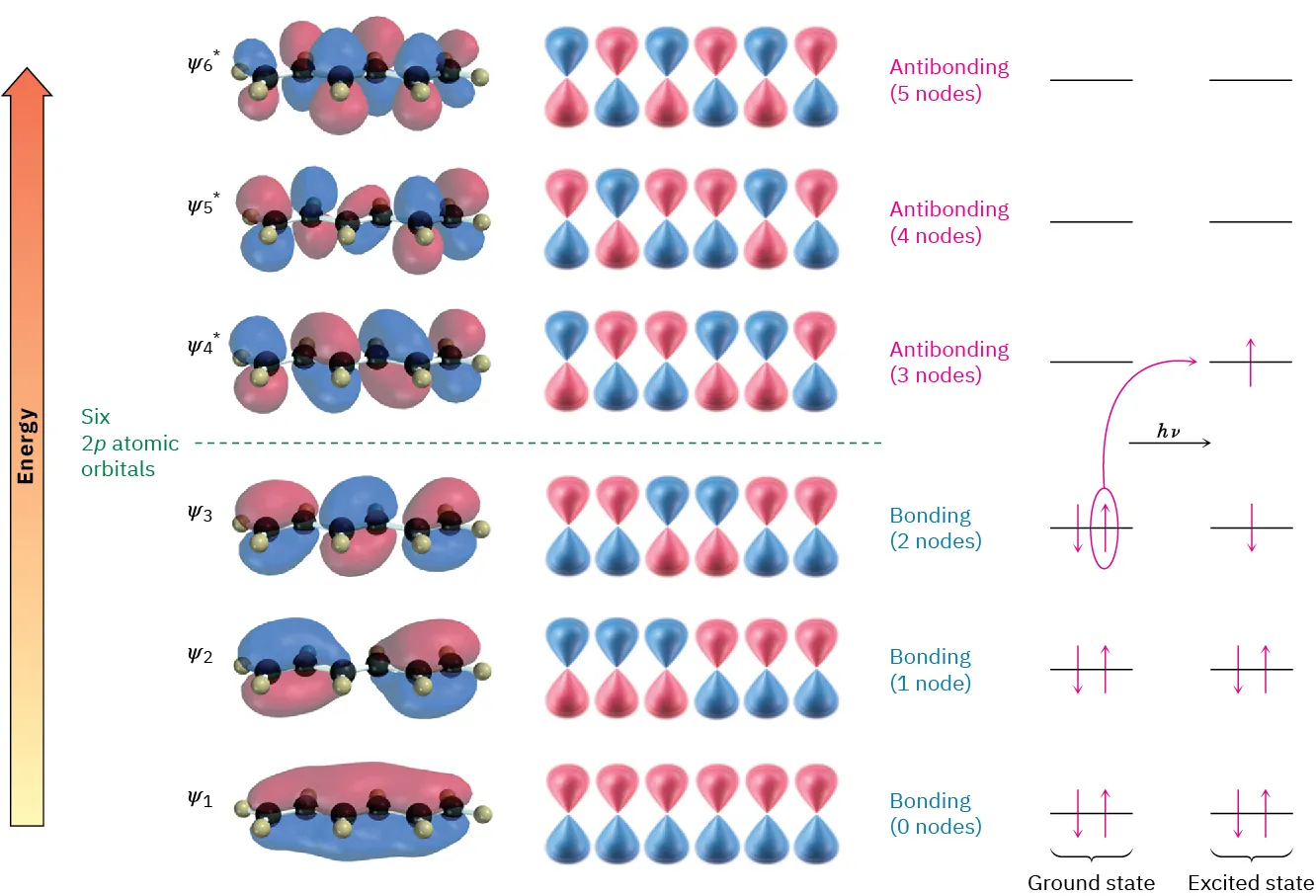 The six pi molecular orbitals of 1,3,5-hexatriene. The three bonding  orbitals are filled in the ground state. In the excited state, one electron has moved from bonding to antibonding orbital.