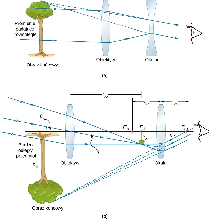 Figura a przedstawia równoległe promienie przychodzące z lewej strony i wchodzce do soczewki dwuwypukłej nazwanej obiektywem. Promienie odchylają się od siebie i wchodzą do soczewki dwuwypukłej nazwanej okularem, po przejściu przez którą wchodzą do oka obserwatora. Przedłużenia promieni skupiają się tworząc odwrócony obraz drzewa opisanego jako obraz końcowy i znajdującego się po lewej części rysunku. Figura b przedstawia promienie biegnące pod kątem teta do osi optycznej wchodzące do soczewki dwuwypukłej opisanej jako obiektyw znajdującej się z lewej części rysunku. Promienie skupiają się w ognisku obiektywu, leżącym po drugiej jego stronie tworząc maleńki, odwrócony obraz drzewa. Promienie biegną dalej wchodząc do soczewki dwuwypukłej opisanej jako okular. Promienie odchylają się i wpadają do oka. Promienie wchodzące do oka tworzą kąt teta prim z osią optyczną. Przedłużenia promieni skupiają się tworząc powiększony, odwrócony obraz drzewa nazwany obrazem końcowym, znajdującym się z lewej strony rysunku.
