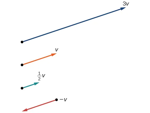 Se muestra el efecto de escalar un vector: 3x, 1x, 0,5x y –1x. El 3x es tres veces más largo, el 1x se mantiene igual, el 0,5x reduce la longitud a la mitad y el –1x invierte la dirección del vector, pero mantiene la misma longitud. El resto mantiene la misma dirección; solo cambia la magnitud.
