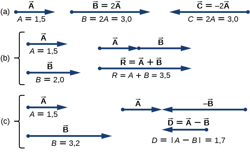 La Figura a muestra el vector A que apunta a la derecha. Tiene una magnitud A=1,5. El vector B=2 tiempo vector A apunta a la derecha y tiene magnitud B = 2 A = 3,0. El vector C = -2 veces el vector A y tiene una magnitud B = 2,0. La Figura b muestra que el vector A apunta a la derecha y tiene una magnitud A=1,5. El vector B se muestra debajo del vector A, con sus colas alineadas. El vector B apunta a la derecha y tiene una magnitud de 2,0. En otra vista, se muestra el vector A con el vector B que comienza en la cabeza de A y se extiende hacia la derecha. Debajo de ellos hay un vector, marcado como vector R = vector A más vector B, que apunta a la derecha cuya cola está alineada con la cola del vector A y cuya cabeza está alineada con la cabeza del vector B. La magnitud del vector R es igual a la magnitud A más la magnitud B = 3,5. La Figura c muestra que el vector A apunta a la derecha y tiene una magnitud A=1,5. El vector B se muestra debajo del vector A, con sus colas alineadas. El vector menos B apunta a la derecha y tiene una magnitud de 3,2. En otra vista, el vector A se muestra con el vector menos B que apunta a la izquierda y con su cabeza alineada con la cabeza del vector A. Debajo de ellos hay un vector, marcado como vector D = vector A menos vector B, más corto que B y que apunta a la izquierda cuya cabeza está alineada con la cabeza del vector B. La magnitud del vector D es igual a la magnitud de la cantidad A menos B = 1,7.