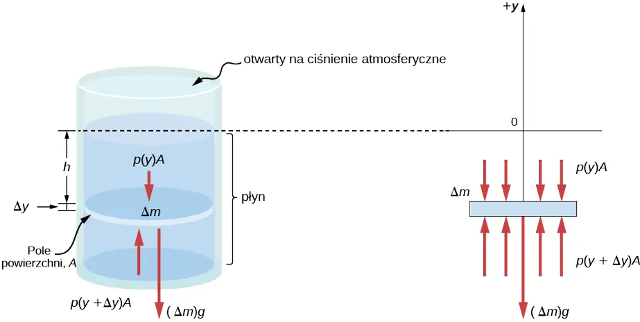 Ilustracja A jest schematycznym rysunkiem cylindra wypełnionego płynem i otwartego na oddziaływanie atmosfery od góry. Dysk A o masie Delta m, powierzchni A, identycznej z powierzchnią cylindra oraz wysokością Delta y jest umieszczony wewnątrz płynu. Słup płynu o wysokości h jest umieszczony powyżej dysku. Ilustracja B jest schematycznym rysunkiem siły Delta m x g wywieranej przez dysk, p (y) x A wywieranej przez płyn powyżej dysku oraz p (y + Delta y) x A wywieranej przez płyn poniżej dysku.