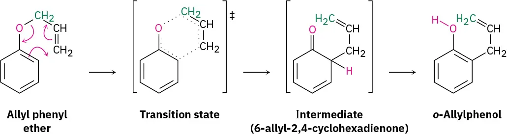 Allyl phenyl ether undergoes Claisen rearrangement that reacts via a transition state to form an intermediate, 6-allyl-2,4-cyclohexadienone. This further reacts to form o-allylphenol.
