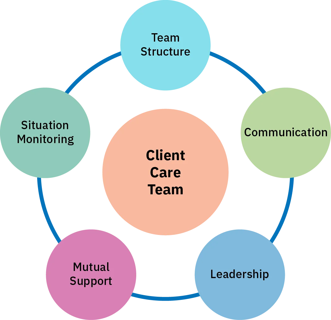 The five components of the Team STEPPS framework are shown as small circles connected together by a circular line. The five components are team structure, communication, leadership, mutual support, and situation monitoring. At the center of the circle formed by these components is another circle labeled client care team.