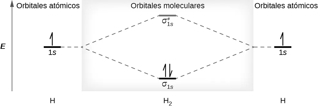 Se muestra un diagrama que tiene una flecha vertical hacia arriba que recorre el lado izquierdo con la marca "E". En la parte inferior central del diagrama hay una línea horizontal marcada como "sigma subíndice 1 s", que tiene dibujadas dos medias flechas verticales, una hacia arriba y otra hacia abajo. Esta línea está conectada a la derecha y a la izquierda por líneas punteadas hacia arriba con otras dos líneas horizontales, cada una de ellas marcada como "1 s", y cada una con una media flecha vertical hacia arriba dibujada en ella. Estas dos líneas están conectadas por líneas punteadas hacia arriba con otra línea en el centro del diagrama, pero más arriba de la primera, y marcada, "sigma subíndice 1 s superíndice asterisco". Los lados izquierdo y derecho del diagrama tienen encabezados que dicen: "Orbitales atómicos", mientras que el encabezado central dice: "Orbitales moleculares". La parte inferior izquierda y derecha están marcadas como "H" mientras que el centro está marcado como "H subíndice 2".