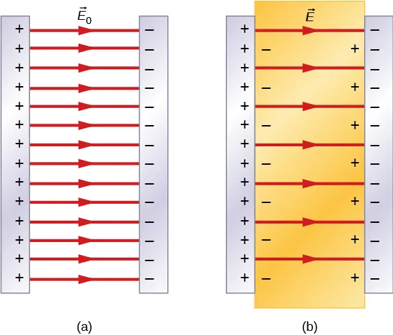 Rysunek a przedstawia kondensator bez dielektryka. Składa się on z dwóch pionowych okładek. Na jednej z nich gromadzą się ładunki dodatnie oznaczone znakami plus, a na drugiej ładunki ujemne oznaczone znakami minus. Linie pola elektrycznego E z indeksem dolnym 0 skierowane są od okładki naładowanej dodatnio do okładki naładowanej ujemnie. Rysunek b przedstawia ten sam kondensator wypełniony dielektrykiem. Na krawędzi dielektryka sąsiadującej z okładką dodatnią gromadzi się mniejszy ładunek ujemny oznaczony znakami minus, a na krawędzi sąsiadującej z okładką ujemną ładunek dodatni oznaczony znakami plus. Linie pola elektrycznego E są w tym przypadku rozstawione rzadziej.