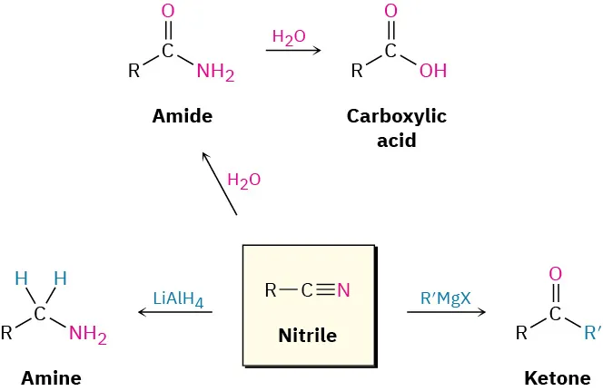 The conversion of nitriles to amides and carboxylic acids using water. Reduction of nitriles to amines using lithium aluminum hydride. The reaction of nitriles with Grignard reagent to give ketones.