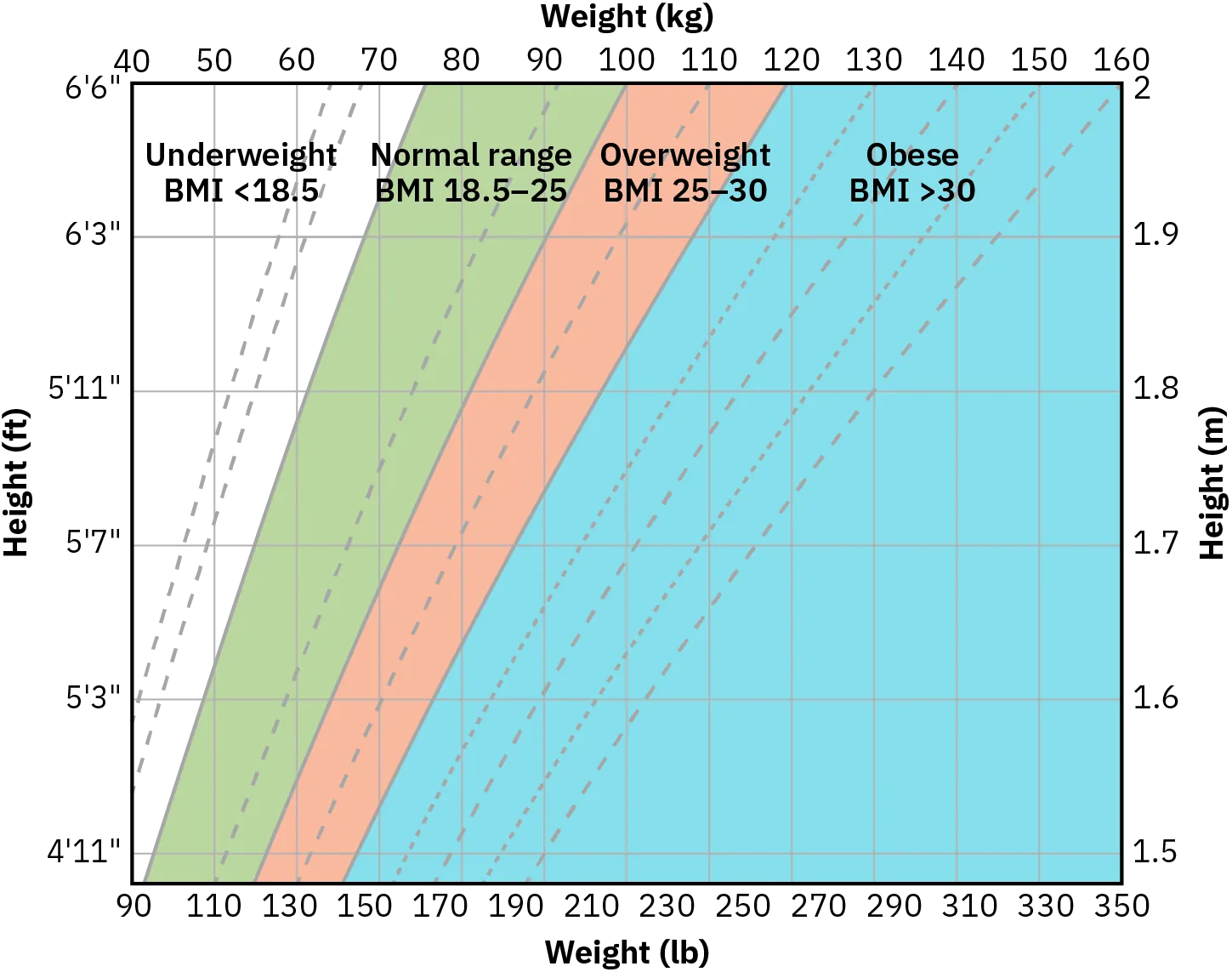 This chart shows how to calculate B M I based on height and weight. The height information is in feet and meters, and the weight information is in both pounds and kilograms. A BMI of less than 18.5 is underweight, 18.5 to 25 is normal, 25 to 30 is overweight, and more than 30 is obese. According to the chart, a person who is 6 feet 6 inches or 2 meters tall weighing 210 pounds or 100 kilograms is overweight. A person who is 6 feet 6 inches or 2 meters tall is considered obese at 270 or more pounds or 120 or more kilograms.