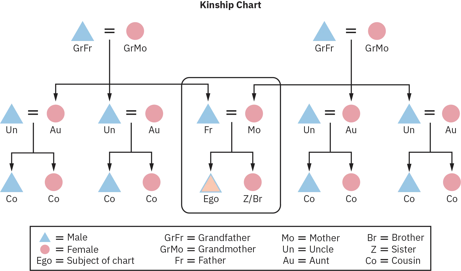 A generic kinship chart of three generations, starting from two sets of grandparents, as grandfather and grandmother respectively, their children, their respective wives, children, and a union of the male child of one family with the female child of the other family, who in turn produce the subject of the chart and a brother or sister.