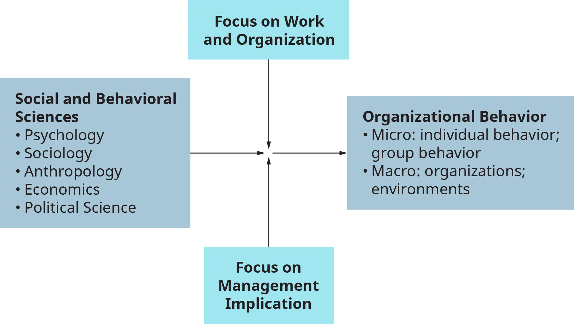 A diagram illustrates the various factors that lead to the origin of organizational behavior.