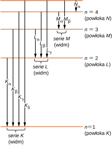 Pokazano różne poziomy energetyczne w postaci poziomych linii. Dolna linia opisana jest jako poziom energetyczny n równe 1, lub podpowłoka K. Powyżej tej linii znajduje się kolejna linia opisana jako poziom energetyczny dla n równego 2 lub podpowłoka L. Podobnie pokazano linie dla podpowłok M i N. Jeśli przesuwamy się od dołu do góry, odległości między liniami się zmniejszają. Przejścia są pokazane jako strzałki skierowane w dół ku liniom leżącym niżej i są opisane. Przejście z n=2, 3, 4 i 5 na poziom n=1 tworzą serię K series i nazywają się K sub alfa, K sub beta, K sub gamma i K sub delta. Przejścia z n= 3, 4 i 5 na poziom n=2 tworzą serię L i nazywają się L sub alfa, L sub beta i L sub gamma. Przejścia z n= 4 i 5 na poziom n=3 tworzą serię M i nazywają się M sub alfa i L sub beta. Przejście z n=5 na poziom n=4 level jest opisane jako N sub alfa.