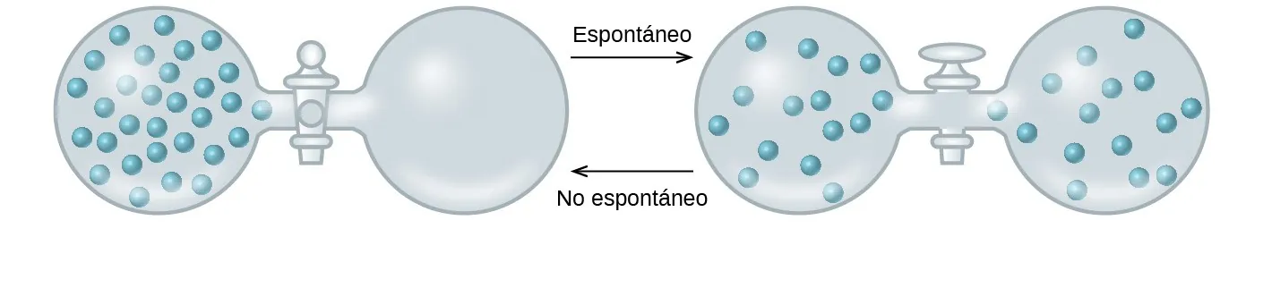 Un diagrama muestra dos matraces de dos caras conectados por una flecha hacia la derecha marcada como "Espontánea" y una flecha hacia la izquierda marcada como "No espontánea". Cada par de matraces está conectado entre sí por un tubo con una llave de paso. En el par de matraces de la izquierda, el matraz de la izquierda contiene treinta partículas uniformemente dispersas mientras que el matraz de la derecha no contiene nada y la llave de paso está cerrada. El par de matraces de la derecha tiene una llave de paso abierta e igual número de partículas en ambos matraces.