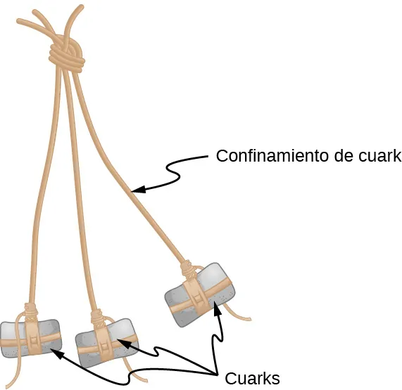 Tres cuerdas atadas en un extremo. Se coloca un peso en el extremo de cada una. Las cuerdas están marcadas como confinamiento de cuarks. Los pesos están marcados como cuarks.
