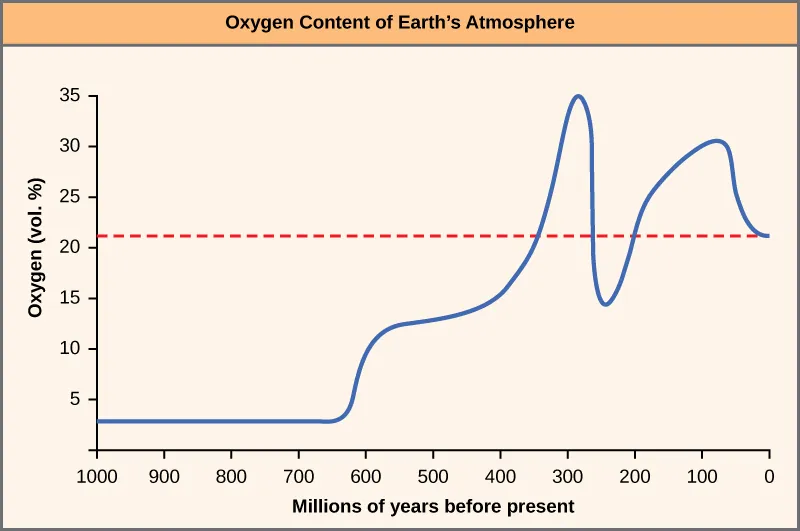 The chart shows the percent oxygen by volume in the Earth’s atmosphere. Until 625 million years ago, there was virtually no oxygen. Oxygen levels began to rapidly climb around this time, and peaked around 275 million years ago, at about 35 percent. Between 275 and 225 million years ago, oxygen levels dropped precipitously to about 15 percent, and then climbed again and dropped to the modern-day concentration of 22 percent.
