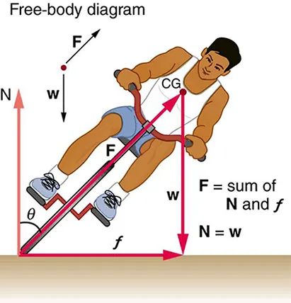 The given figure shows a boy riding a bicycle, from the front. The boy is sliding leftward to his left. Three vectors are shown. One is from the bottom the front cycle wheel to the right depicting centripetal force, another one is from the same point drawn vertically upward showing the force N, making an angle theta with the slope of the front cycle wheel. The third vector is drawn from the chest of the boy to vertically downward to the bottom showing his weight, w. An arrow from the bottom of the wheel to the chest point of the boy is also shown depicting the slope of the bicycle with force F exerting on it. A free-body diagram is also given alongside the figure showing the direction of weight and force vectors. And the values of net F equals to sum of N and centripetal force, and N equals to weight W also given alongside on the right.