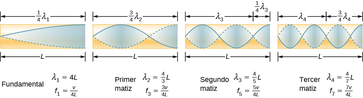 La imagen es un diagrama de la fundamental y de tres sobretonos más bajos para un tubo cerrado en un extremo. La fundamental tiene una cuarta parte de su longitud de onda en un tubo. El primer sobretono tiene tres cuartos de su longitud de onda en un tubo, el segundo, tiene cinco cuartos y el tercero tiene siete cuartos. Todos tienen desplazamientos máximos de aire en el extremo abierto y ninguno en el extremo cerrado.