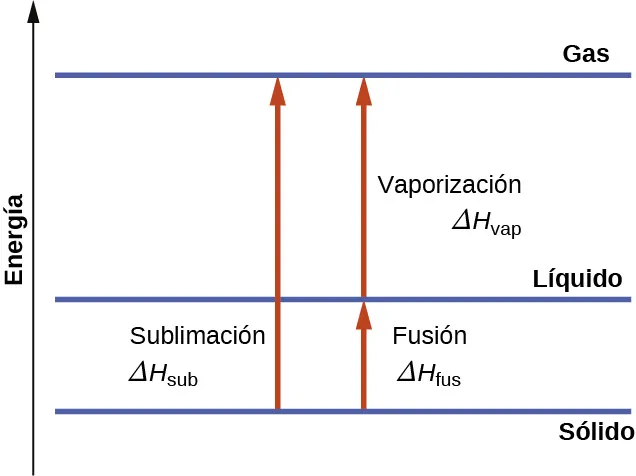 Se muestra un diagrama con una línea vertical dibujada en el lado izquierdo y marcada como "Energía" y tres líneas horizontales dibujadas cerca de la parte inferior, el tercio inferior y la parte superior del diagrama. Estas tres líneas están marcadas, de abajo a arriba, como "sólido", "líquido" y "gas". Cerca del centro del diagrama, se dibuja una flecha vertical hacia arriba desde la línea sólida hasta la línea de gas y se rotula "Sublimación, signo delta, H, subíndice". A la derecha de esta flecha hay una segunda flecha vertical, orientada hacia arriba, que se dibuja desde la línea sólida hasta la línea líquida y que lleva la marca "Fusión, signo delta, H, subíndice fus". Encima de la segunda flecha hay una tercera flecha trazada desde la línea del líquido a la del gas y marcada como "Vaporización, signo delta, H, subíndice vap".