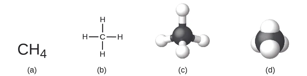 Figure A shows C H subscript 4. Figure B shows a carbon atom that is bonded to four hydrogen atoms at right angles: one above, one to the left, one to the right, and one below. Figure C shows a 3-D, ball-and-stick model of the carbon atom bonded to four hydrogen atoms. Figure D shows a space-filling model of a carbon atom with hydrogen atoms partially embedded into the surface of the carbon atom.